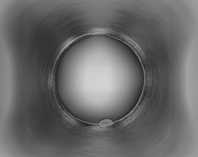 X0000116611473200912181156