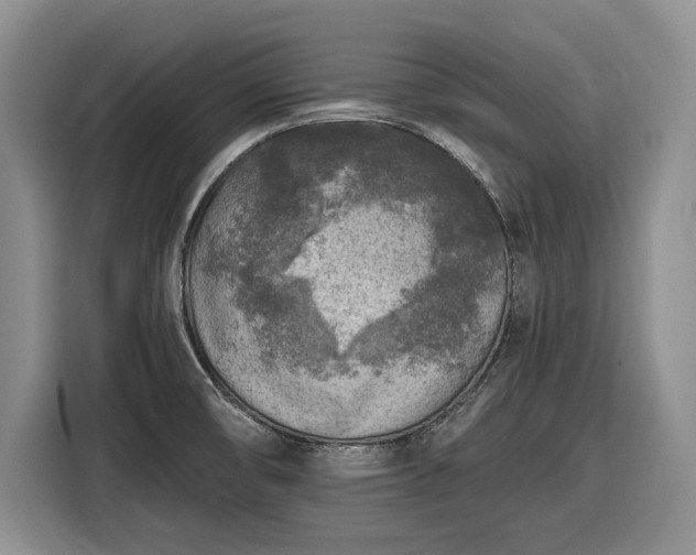 X0000116611474200912181156