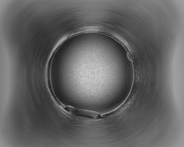 X0000116611475200912181156