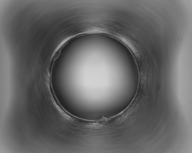 X0000116611476200912181156
