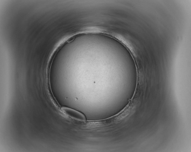 X0000116611477200912181156