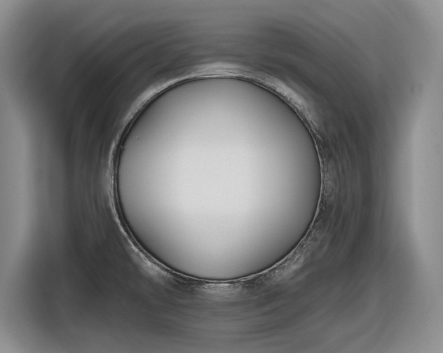 X0000116611478200912181156
