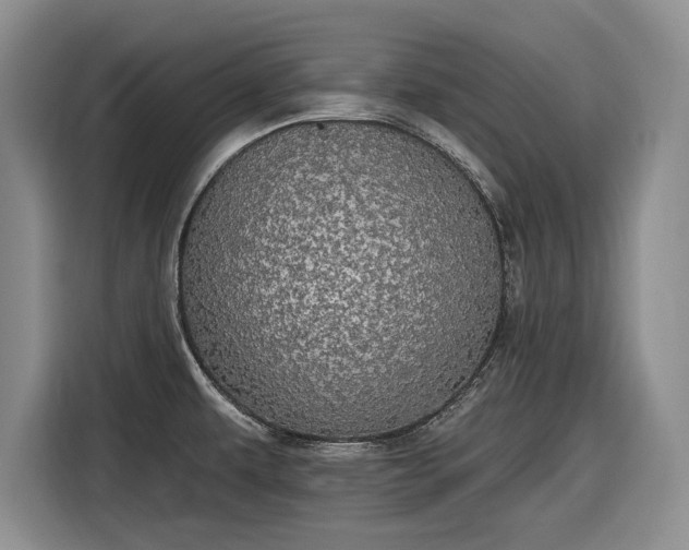 X0000116611479200912181156