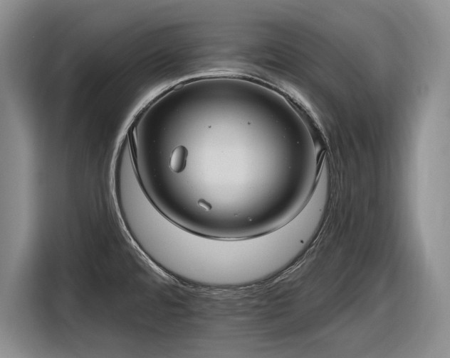 X0000116611480200912181156