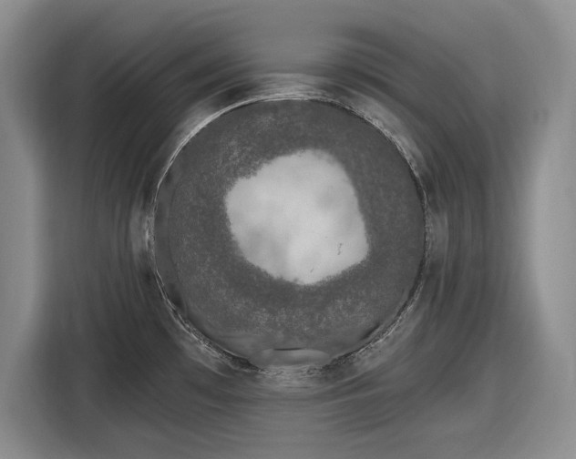 X0000116611481200912181156