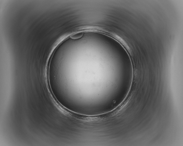 X0000116611482200912181156