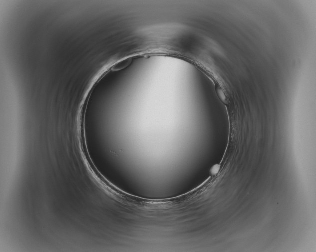 X0000116611483200912181156