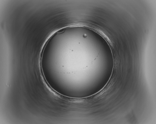 X0000116611484200912181156