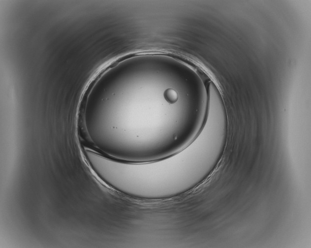 X0000116611485200912181156