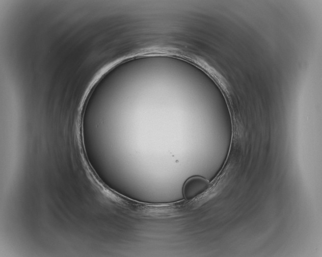 X0000116611486200912181156