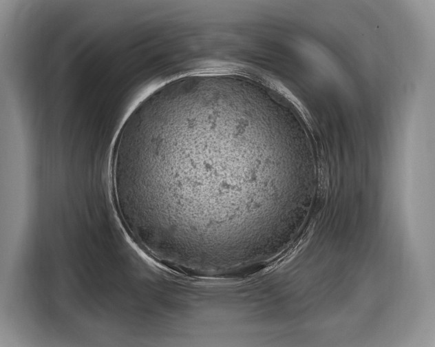 X0000116611487200912181156