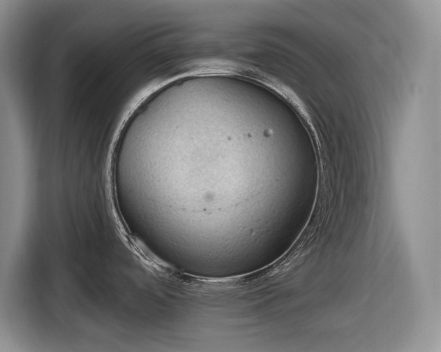 X0000116611488200912181156