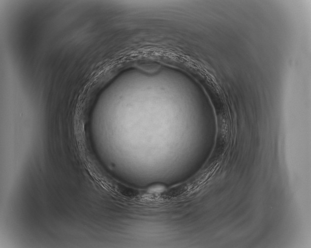 X0000116611489200912181155