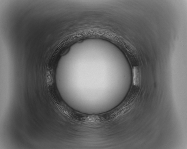 X0000116611491200912181155