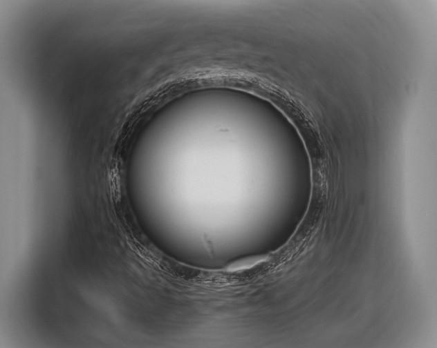 X0000116611493200912181155