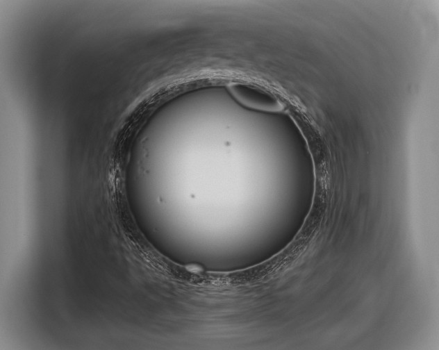 X0000116611495200912181155