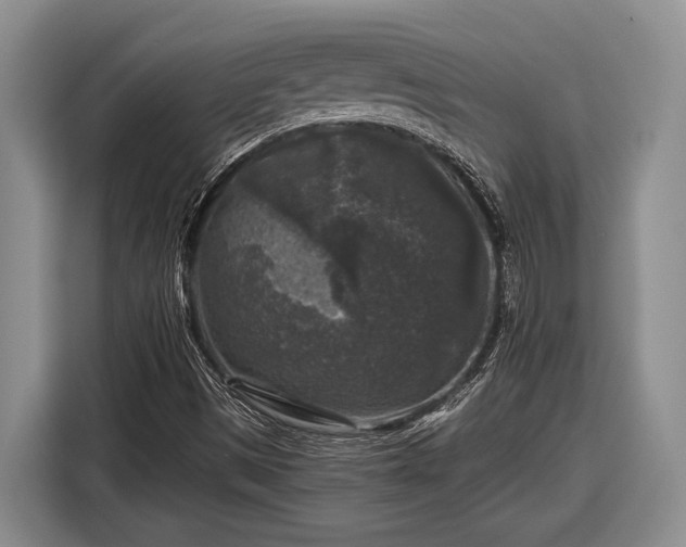 X0000116611497200912181155
