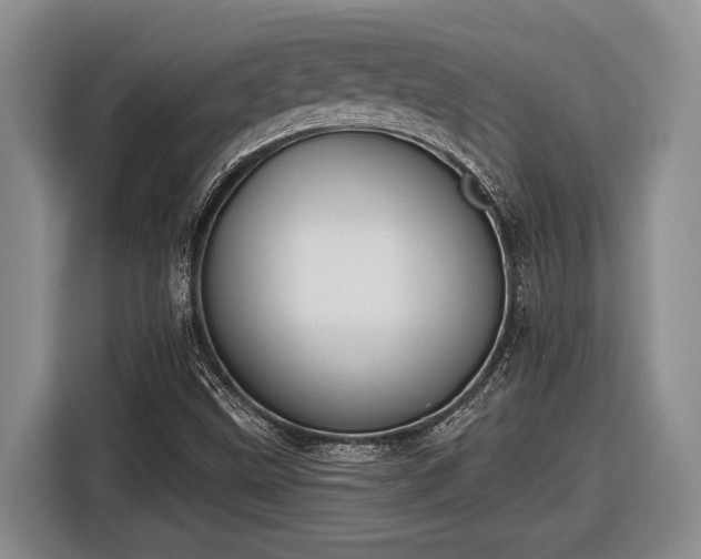 X0000116611499200912181155
