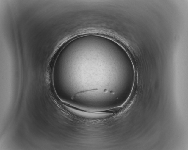 X0000116611501200912181155