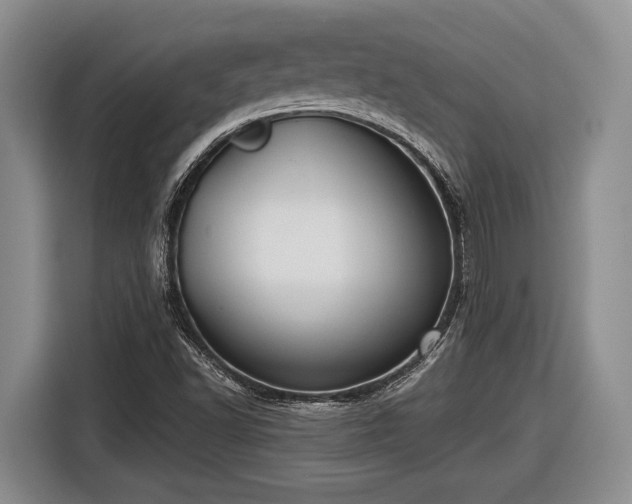 X0000116611502200912181155