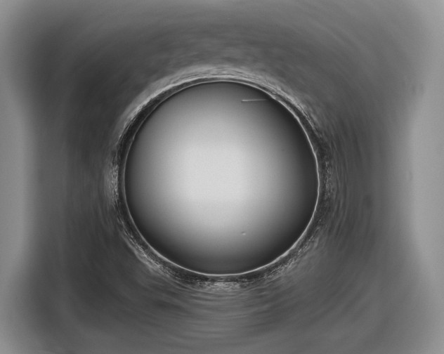 X0000116611503200912181155