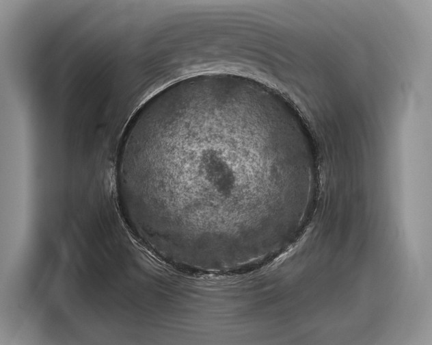 X0000116611505200912181155