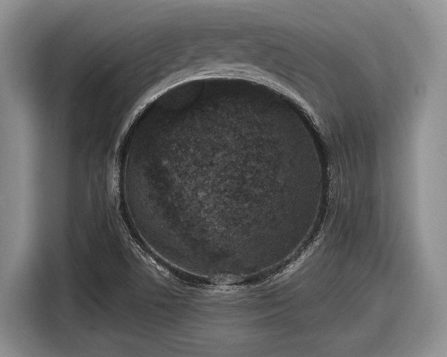 X0000116611506200912181156