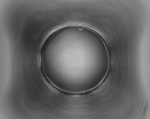 X0000116611507200912181156