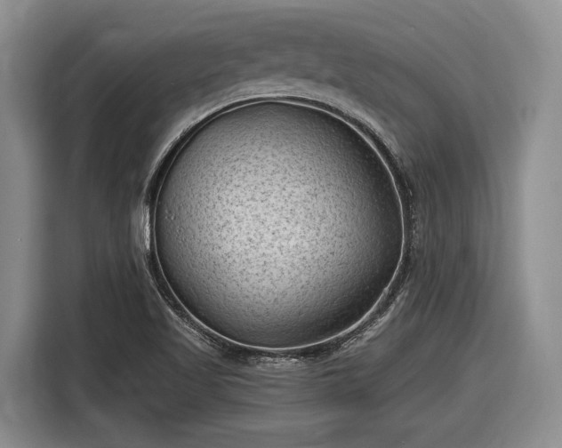 X0000116611509200912181156