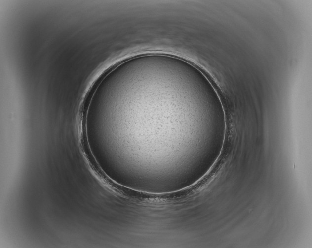 X0000116611511200912181156