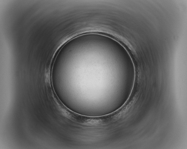 X0000116611513200912181156