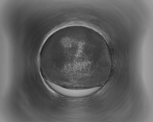 X0000116611519200912181156