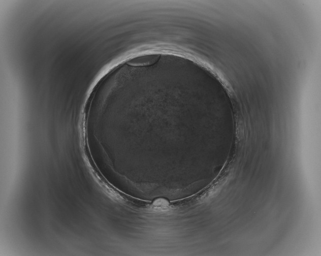 X0000116611522200912181156