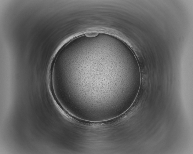 X0000116611523200912181156