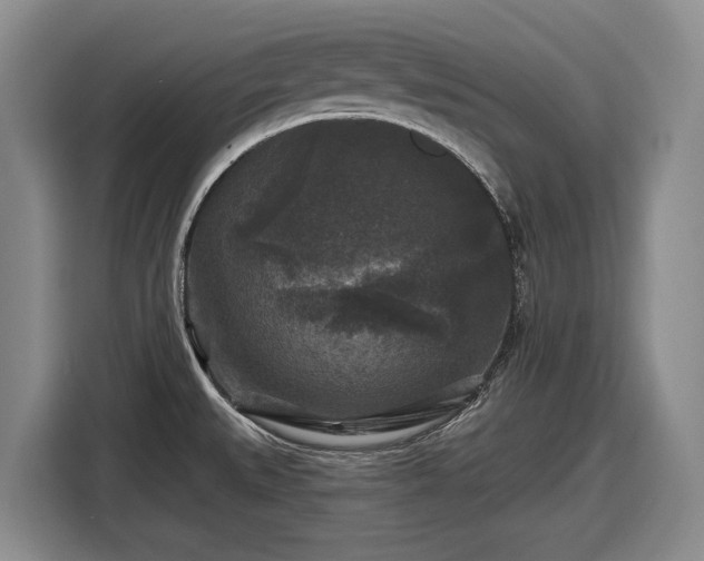 X0000116611527200912181156
