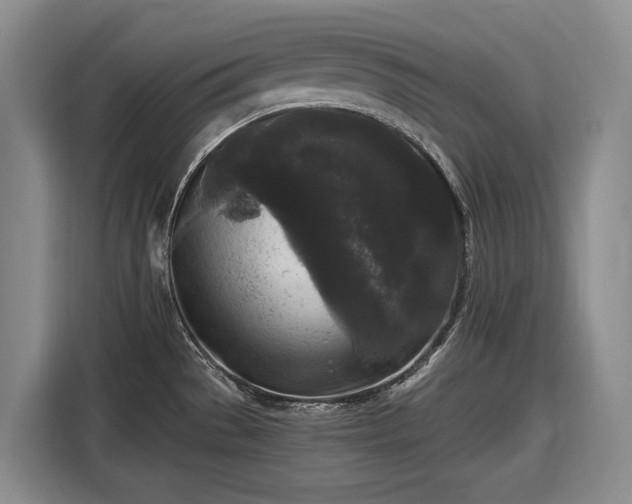 X0000116611529200912181156