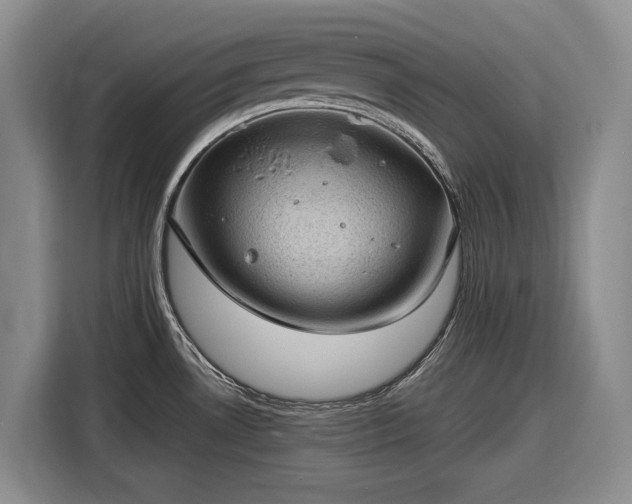 X0000116611530200912181156