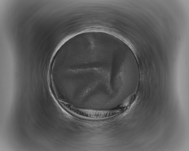 X0000116611533200912181156