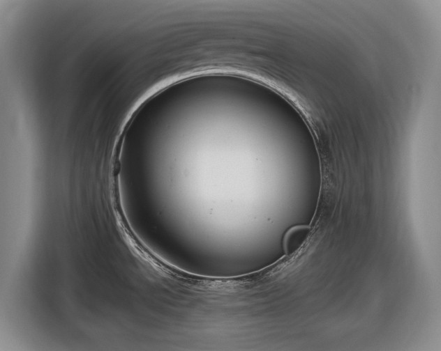 X0000116611534200912181156