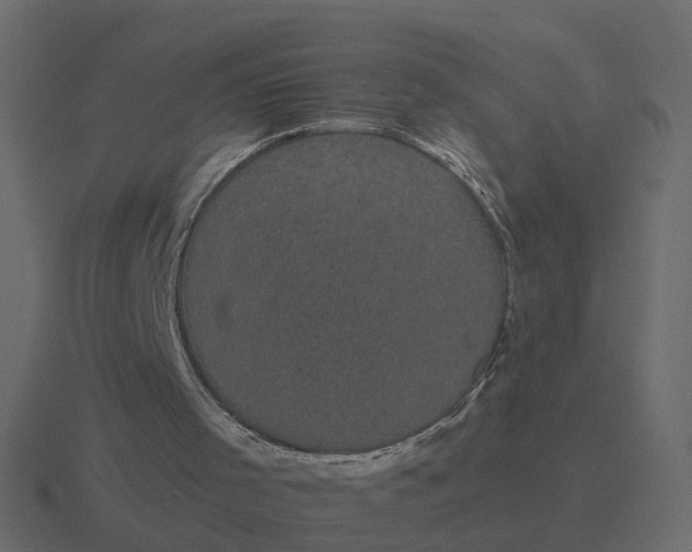 X0000116610001200912241742