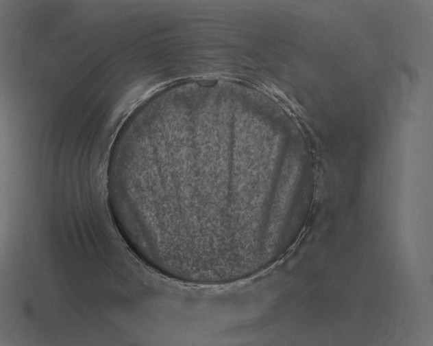 X0000116610002200912241742