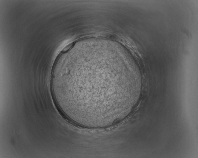 X0000116610003200912241742