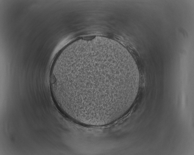 X0000116610004200912241742