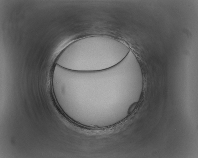 X0000116610005200912241742