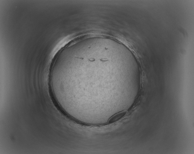 X0000116610007200912241742