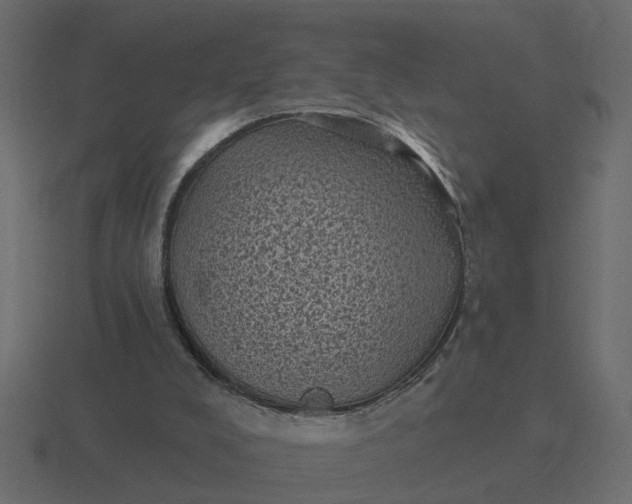 X0000116610008200912241742