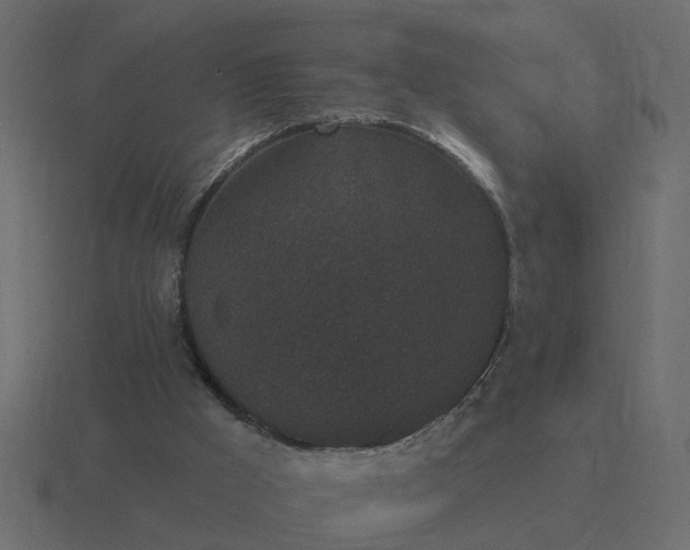 X0000116610009200912241742