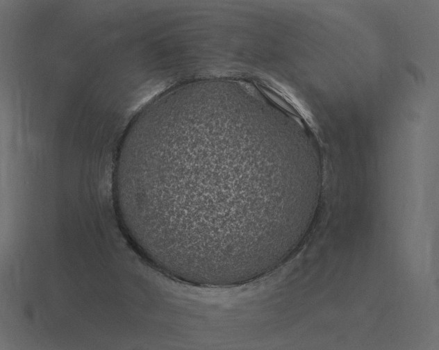 X0000116610010200912241742