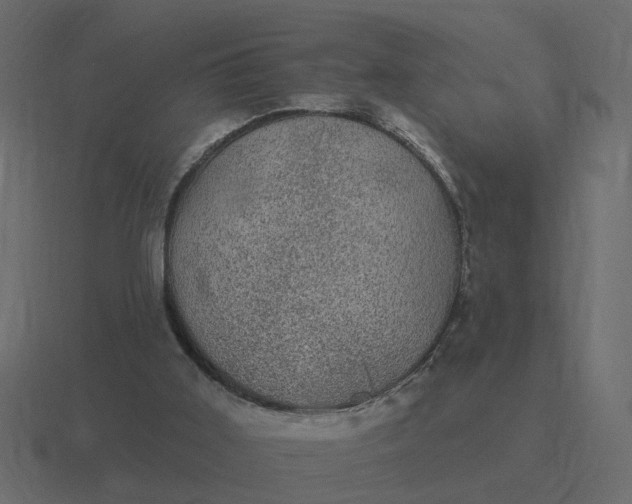 X0000116610011200912241742