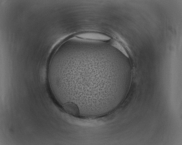 X0000116610012200912241742